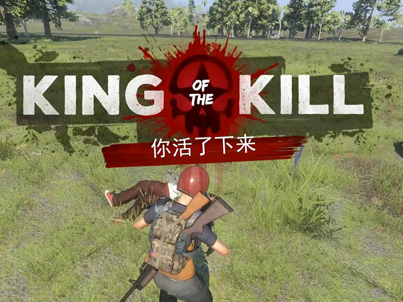 cod17助手